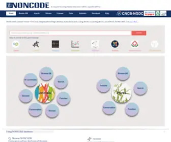 Noncode.org(The ncRNA database inc) Screenshot