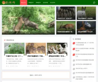 Nongnuo.com(新农村智慧生态农业) Screenshot