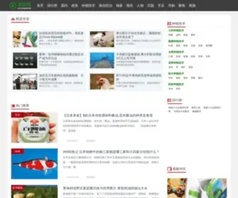 NongXun.net(农讯网) Screenshot