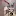 Nonsoloblog.com Favicon