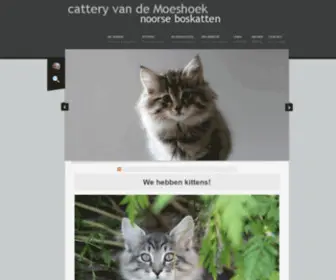 Noorseboskatten.net(Noorse boskatten van de Moeshoek) Screenshot