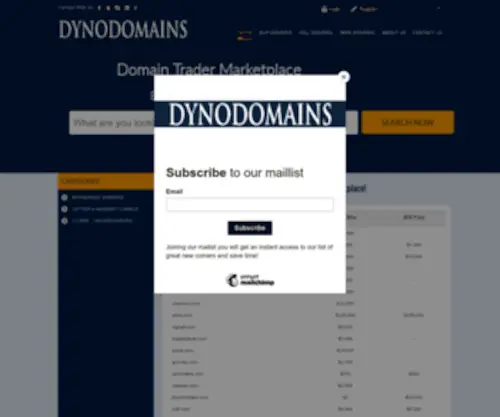 Noppon.com(Dyno Domains) Screenshot