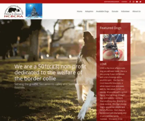 Norcalbcrescue.org(Northern California Border Collie Rescue & Adoptions) Screenshot