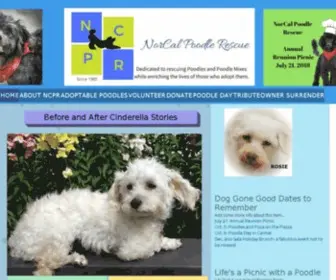 Norcalpoodlerescueadoption.com(NorCal Poodle Rescue) Screenshot