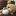 Norikuma2.com Favicon
