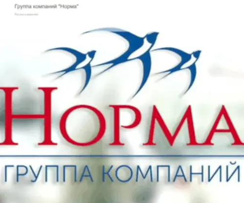 Norma-Kirov.ru(Центр деловой информации) Screenshot