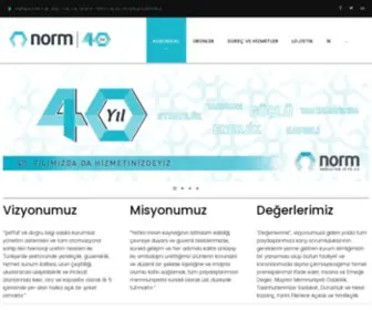 Normambalaj.com(Norm Ambalaj) Screenshot