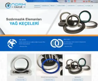 Normkaucuk.com(Hidrolik Pnömatik Sızdırmazlık) Screenshot