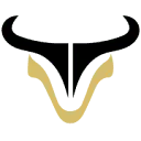Northbison.com Favicon