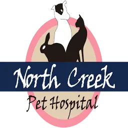 Northcreek.com Favicon