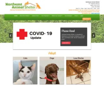 Northeastanimalshelter.org(Northeast Animal Shelter) Screenshot