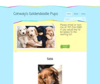 Northerncagoldendoodles.com(Conway's Goldendoodle Pups) Screenshot