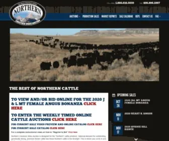 Northernlivestockvideo.com(The Best of Northern Cattle) Screenshot