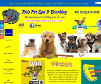 Northmiamibeachpetgrooming.com(Pet Boarding) Screenshot