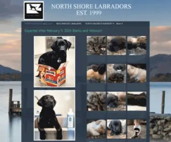 Northshorelabradors.com(Top Labrador Retriever Breeder) Screenshot