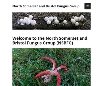 Northsomersetandbristolfungusgroup.co.uk(Surveys, Recording, Conservation &amp; Education) Screenshot