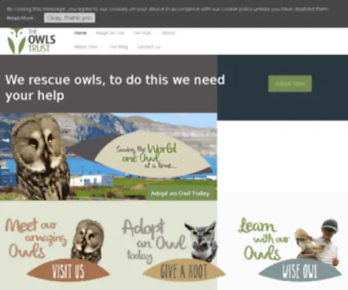 Northwalesbirdtrust.co.uk(Caring for birds of prey and the environment) Screenshot