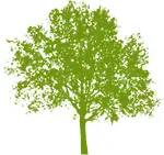 Northwestfamilylife.org Favicon