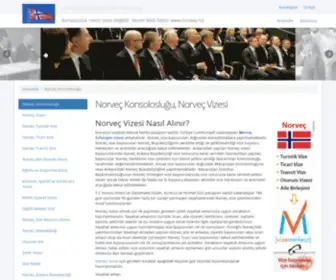 Norveckonsoloslugu.com(Norveç) Screenshot