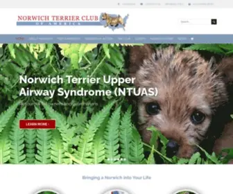 Norwichterrierclub.org(Norwich Terrier Club of America) Screenshot