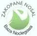 Nosal-Zakopane.pl Favicon