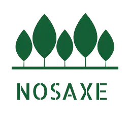 Nosaxe.com Favicon