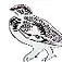 Nosoiseaux.ch Favicon