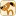 Notepet.co.kr Favicon