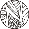 Noteverdi.com Favicon
