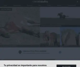 Noticaballos.com(Noticias de Caballos) Screenshot