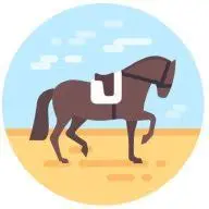 Nouvellechevalerie.com Favicon