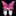 Novagirl.net Favicon