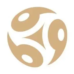 Novecentonovantanove.com Logo