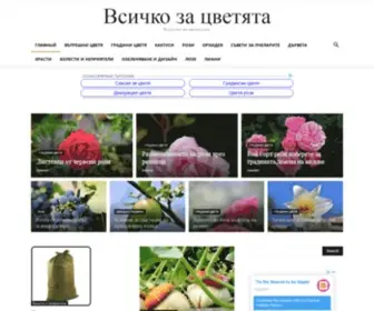 Novolit.su(Всичко) Screenshot