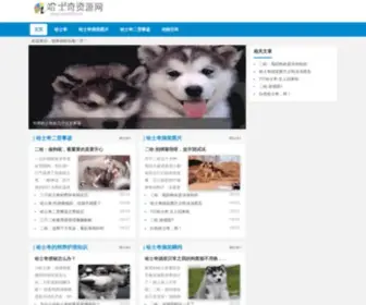 Now818.com(哈士奇资源网) Screenshot