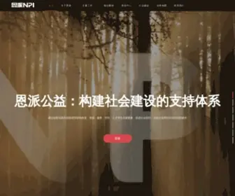 Npi.org.cn(恩派) Screenshot