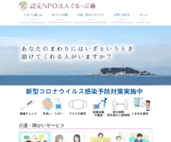 Npo-Fuji.com(高齢者、障がい者、病弱者など) Screenshot