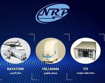 NRP-CO.com(شرکت) Screenshot