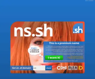 NS.sh(This is a premium name) Screenshot