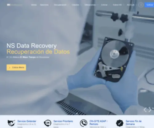 Nsdatarecovery.com(NS DataRecovery) Screenshot
