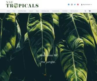 Nsetropicals.com(NSE Tropicals) Screenshot