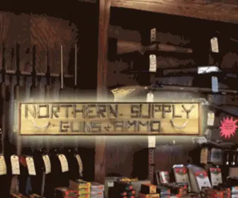 Nsguns.com(Northern Supply Guns and Ammo is brick and mortar FFL with a storefront) Screenshot