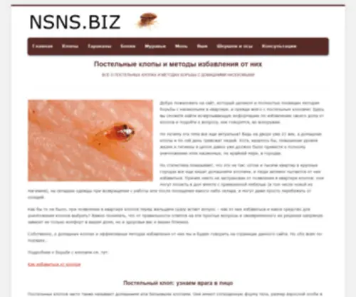NSNS.biz(NSNS) Screenshot
