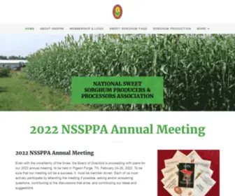 NSSppa.org(NSSPPA) Screenshot