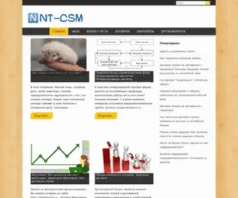 NT-CSM.ru(Прорыв в вашем бизнесе) Screenshot