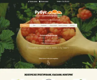 NTP-Rubus.ru(Научно) Screenshot