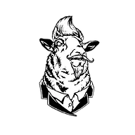 NTSybarbearia.com Favicon