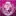 NTWDLY.com Favicon