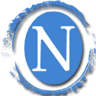 Null-Scripts.net Logo
