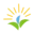 Numercy.com Logo